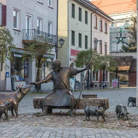 1 Zimmer-appartment Nr 14 Apartment *